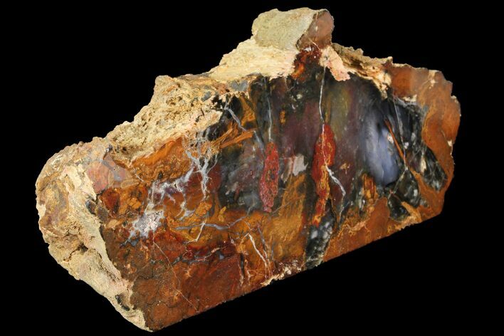 Colorful, Polished Petrified Wood Section - Hubbard Basin #93923